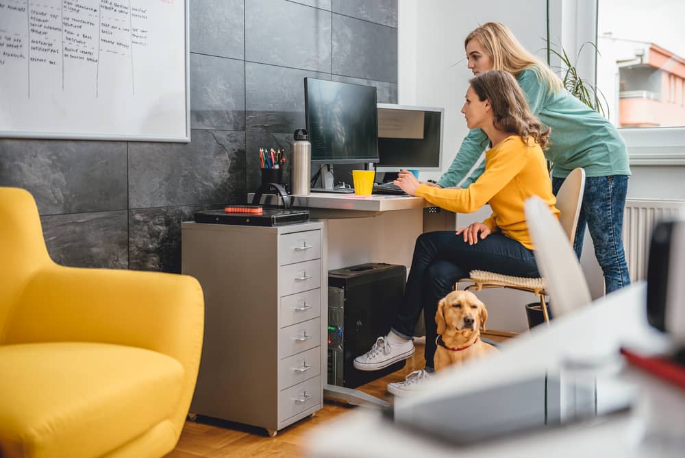 16 Cool Job Perks That Keep Employees Happy - thumbnail