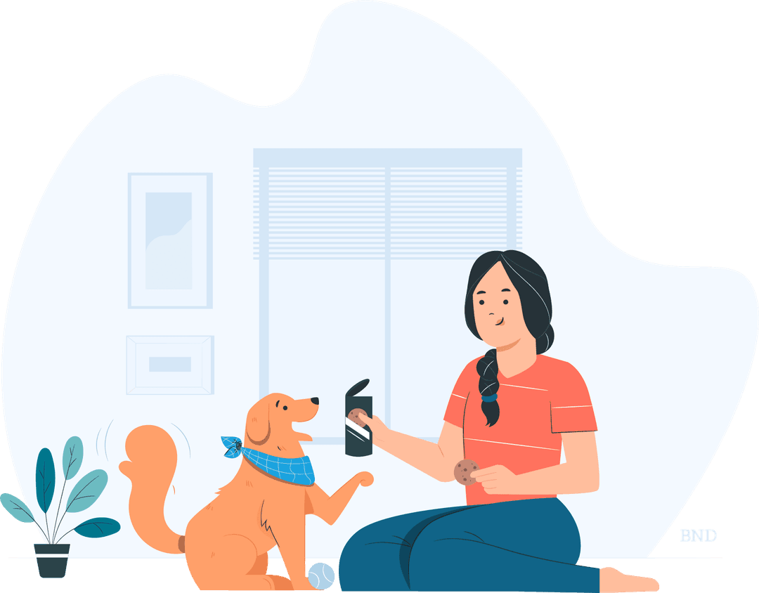 graphic of person playing with a dog