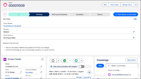 Salesforce case management