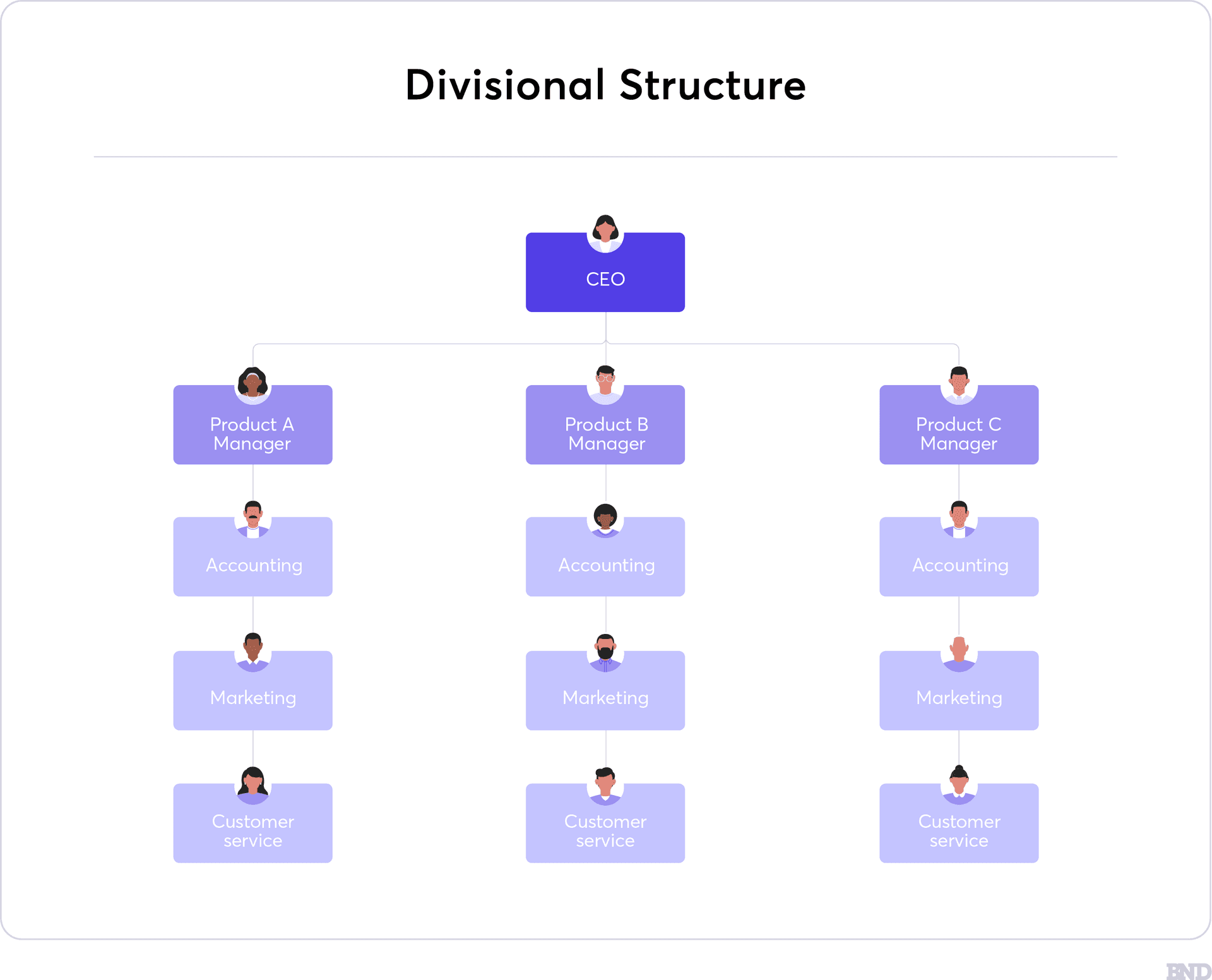 Divisional structure infographic