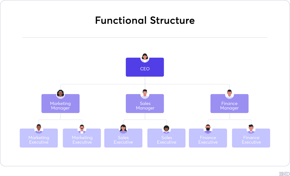 Functional Structure graphic