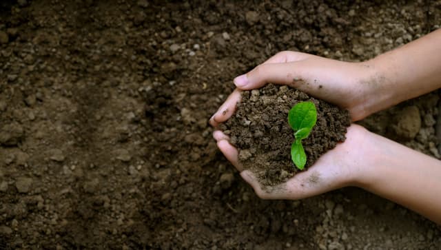What is Corporate Social Responsibility?