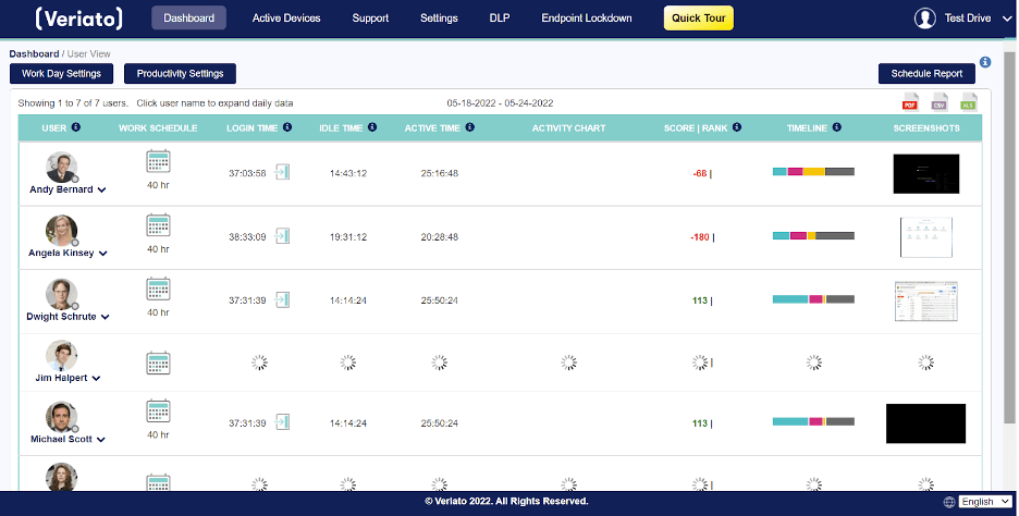 Veriato user view dashboard