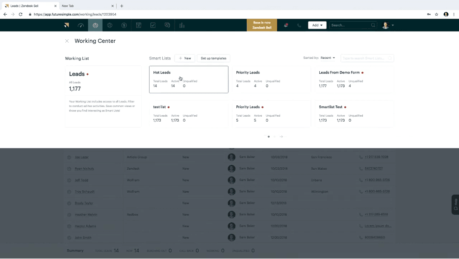 Zendesk sales lead organization