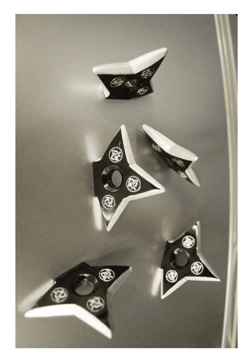 Ninja star magnet