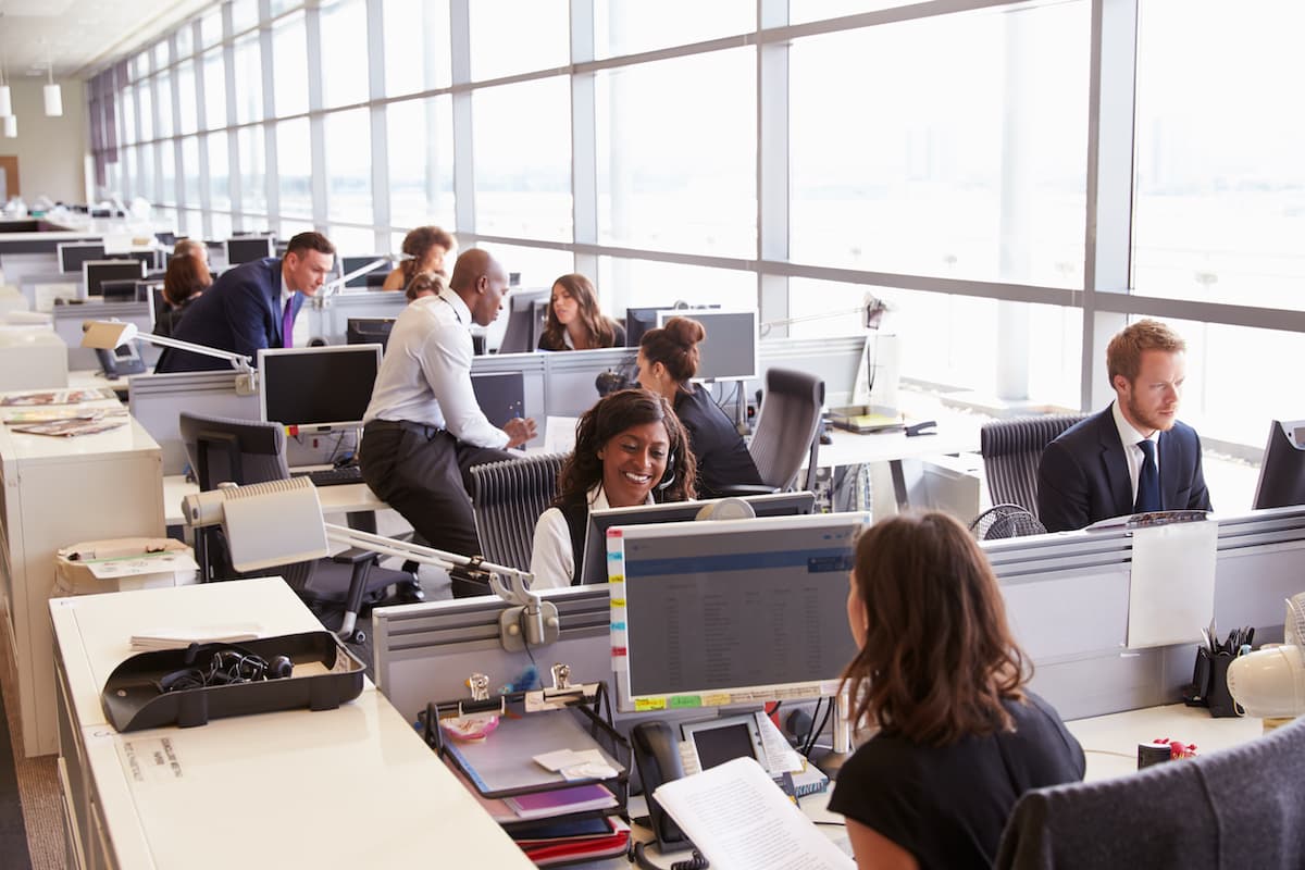 coworkers at their desks in an office